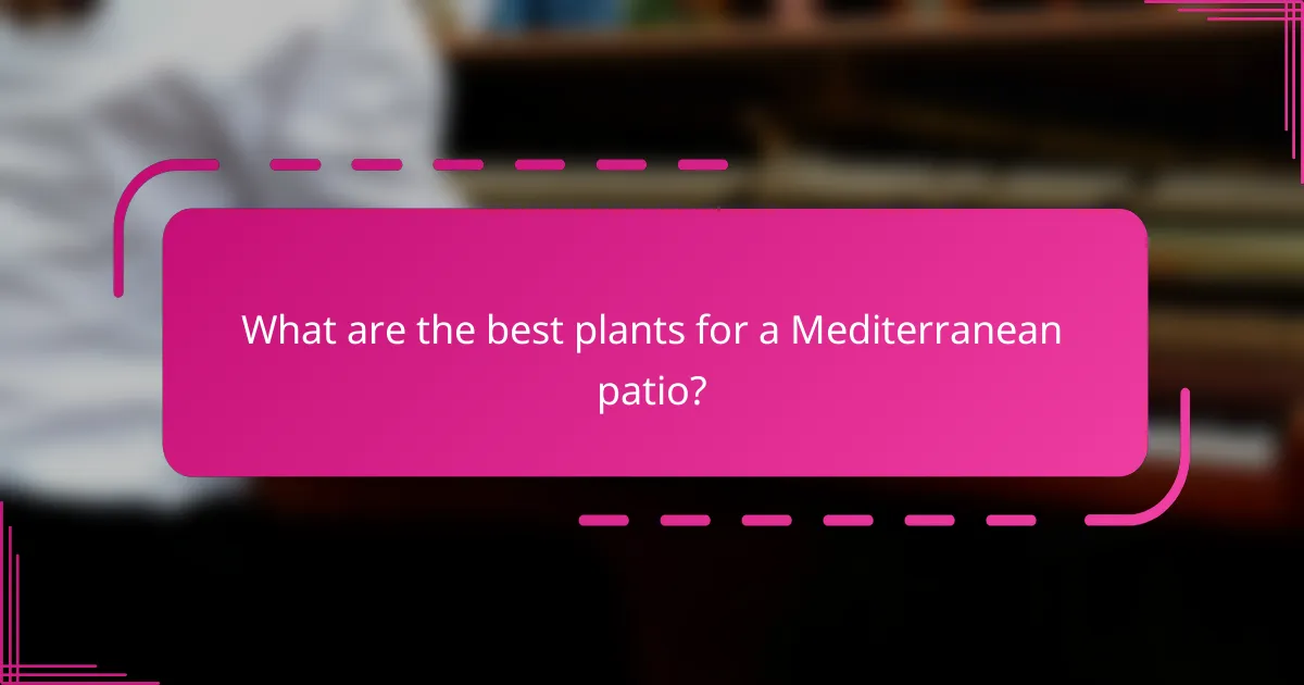 What are the best plants for a Mediterranean patio?